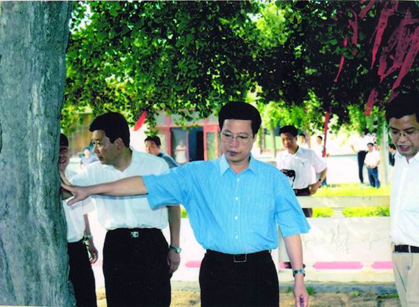 原山東省委書記張高麗現(xiàn)政治局常委視察銀杏產業(yè)